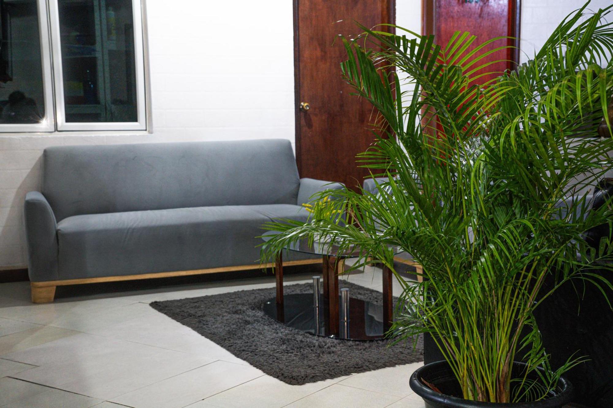 Hotel The Park House Malé Exterior foto
